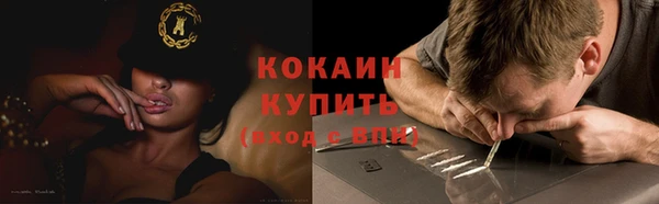 дживик Гусев